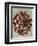 Blossfeldt Redeux II-Vision Studio-Framed Art Print