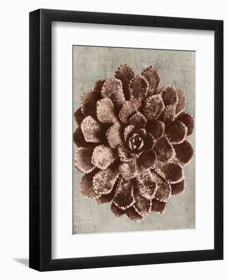 Blossfeldt Redeux II-Vision Studio-Framed Art Print