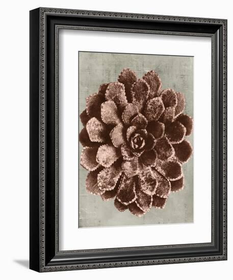 Blossfeldt Redeux II-Vision Studio-Framed Art Print