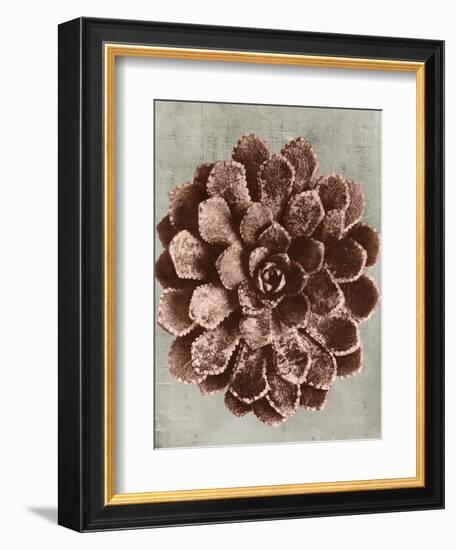 Blossfeldt Redeux II-Vision Studio-Framed Art Print