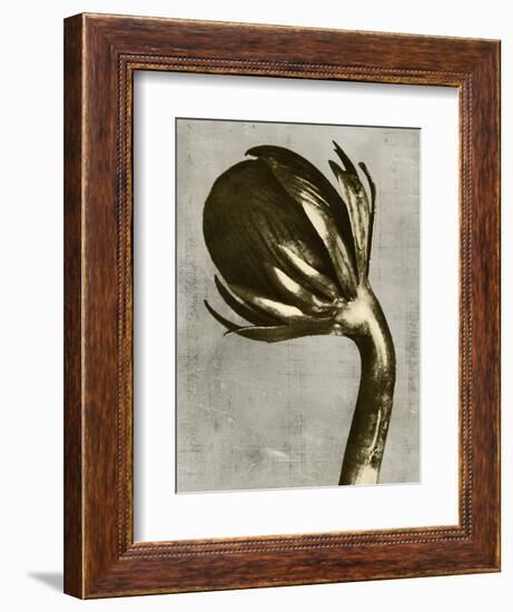 Blossfeldt Redeux III-Vision Studio-Framed Art Print