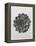 Blossfeldt Rosette I-Karl Blossfeldt-Framed Premier Image Canvas