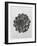 Blossfeldt Rosette I-Karl Blossfeldt-Framed Photographic Print