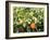 Blossom and Fruit on an Orange Tree, Majorca, Spain-Peter Thompson-Framed Photographic Print