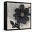 Blossom and Succulent Black-Ivo Stoyanov-Framed Stretched Canvas