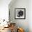 Blossom and Succulent Black-Ivo Stoyanov-Framed Art Print displayed on a wall