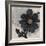 Blossom and Succulent Black-Ivo Stoyanov-Framed Art Print