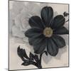 Blossom and Succulent Black-Ivo Stoyanov-Mounted Art Print