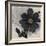 Blossom and Succulent Black-Ivo Stoyanov-Framed Art Print