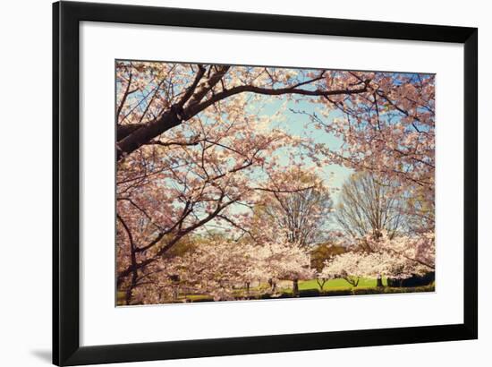 Blossom Beauty I-Kathy Mansfield-Framed Photographic Print