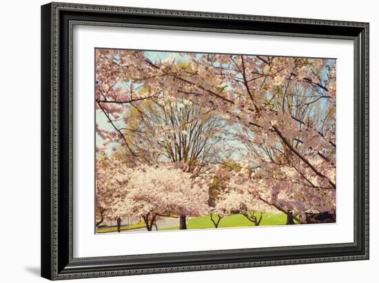 Blossom Beauty II-Kathy Mansfield-Framed Photographic Print