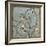 Blossom Branch II-Jennifer Goldberger-Framed Premium Giclee Print