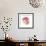 Blossom Burst II-Victoria Borges-Framed Premium Giclee Print displayed on a wall