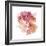 Blossom Burst II-Victoria Borges-Framed Art Print