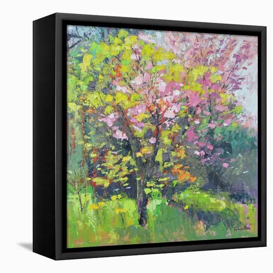 Blossom Delight, 2019 (Oil)-Sylvia Paul-Framed Premier Image Canvas