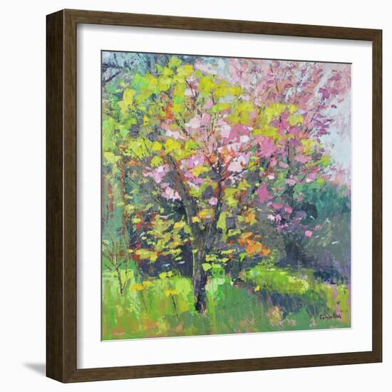 Blossom Delight, 2019 (Oil)-Sylvia Paul-Framed Giclee Print