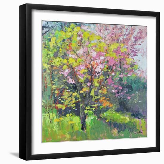 Blossom Delight, 2019 (Oil)-Sylvia Paul-Framed Giclee Print