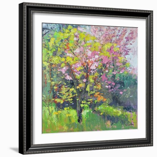 Blossom Delight, 2019 (Oil)-Sylvia Paul-Framed Giclee Print