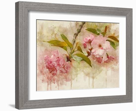 Blossom Elegance II-Leda Robertson-Framed Art Print