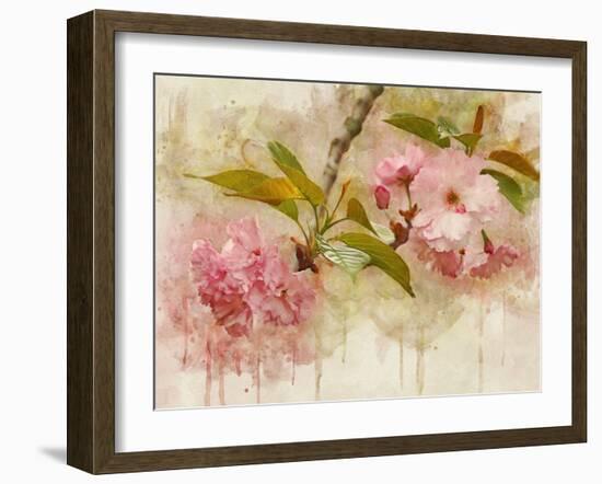 Blossom Elegance II-Leda Robertson-Framed Art Print