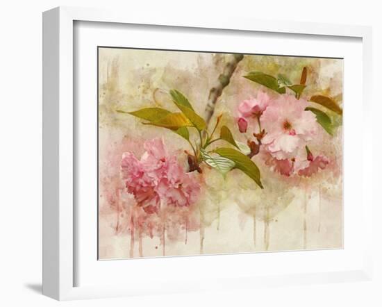 Blossom Elegance II-Leda Robertson-Framed Art Print