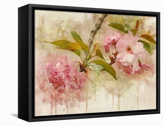 Blossom Elegance II-Leda Robertson-Framed Stretched Canvas