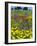 Blossom in a Field, Siena Province, Tuscany, Italy-Nico Tondini-Framed Photographic Print