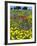 Blossom in a Field, Siena Province, Tuscany, Italy-Nico Tondini-Framed Photographic Print