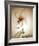 Blossom in Sienna II-Regina-Framed Art Print