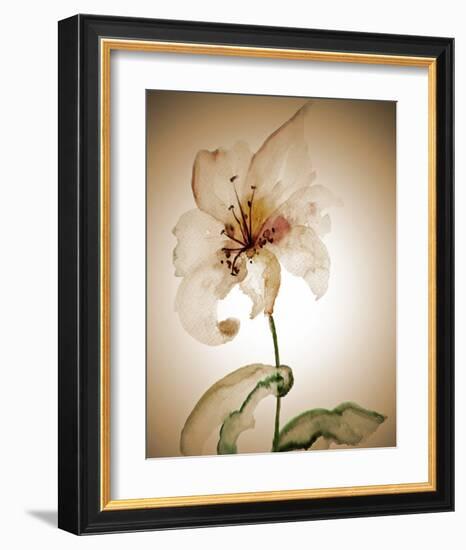 Blossom in Sienna II-Regina-Framed Art Print