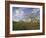 Blossom in the Apple Orchards in the Vale of Evesham, Worcestershire, England, United Kingdom-David Hughes-Framed Photographic Print