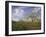 Blossom in the Apple Orchards in the Vale of Evesham, Worcestershire, England, United Kingdom-David Hughes-Framed Photographic Print