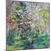 Blossom in the Wood-Sylvia Paul-Mounted Giclee Print
