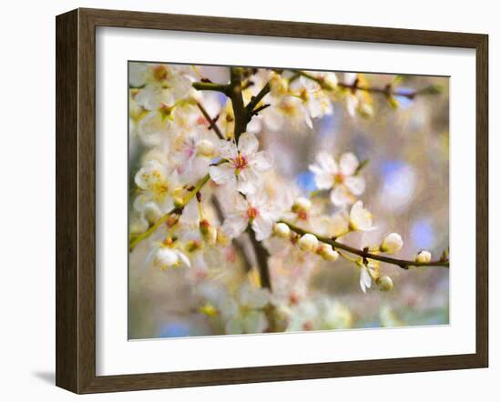 Blossom Joy, 2019,-Helen White-Framed Giclee Print