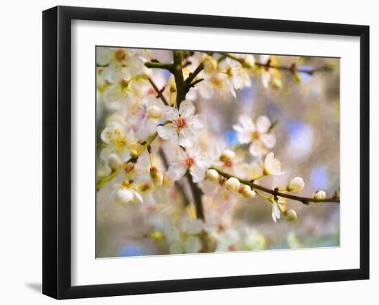 Blossom Joy, 2019,-Helen White-Framed Giclee Print