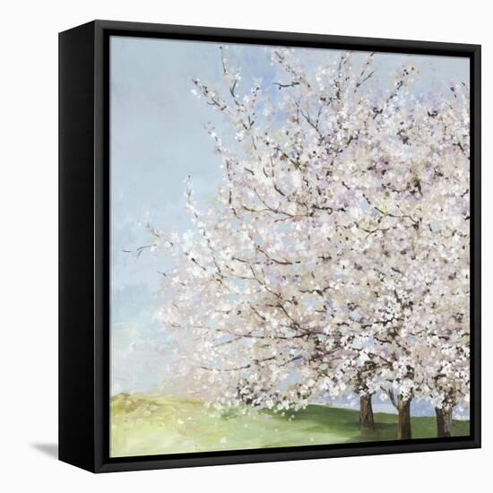 Blossom Orchard-Allison Pearce-Framed Stretched Canvas