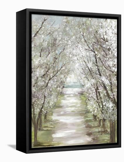 Blossom Pathway-Allison Pearce-Framed Stretched Canvas