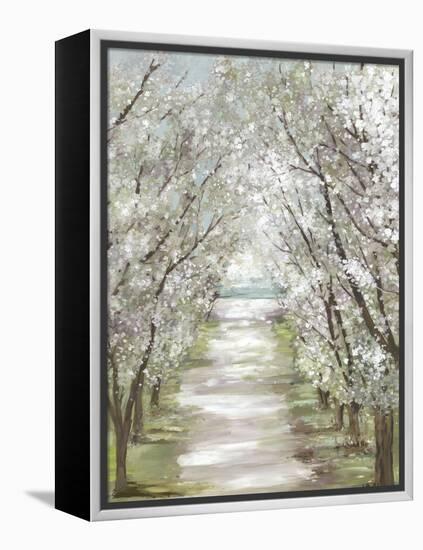 Blossom Pathway-Allison Pearce-Framed Stretched Canvas