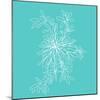 Blossom Pop Aqua-Jan Weiss-Mounted Art Print