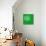 Blossom Pop Emerald-Jan Weiss-Art Print displayed on a wall