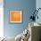 Blossom Pop Orange-Jan Weiss-Framed Premium Giclee Print displayed on a wall
