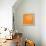 Blossom Pop Orange-Jan Weiss-Framed Stretched Canvas displayed on a wall