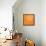 Blossom Pop Orange-Jan Weiss-Framed Stretched Canvas displayed on a wall