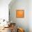 Blossom Pop Orange-Jan Weiss-Framed Stretched Canvas displayed on a wall