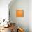 Blossom Pop Orange-Jan Weiss-Mounted Art Print displayed on a wall