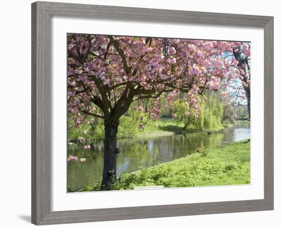 Blossom, Regents Park, London, England, United Kingdom-Ethel Davies-Framed Photographic Print