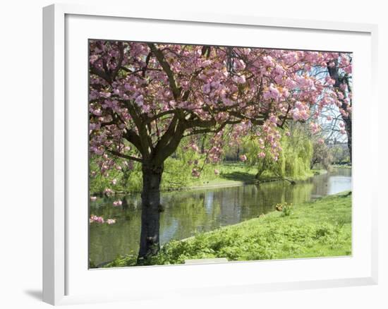 Blossom, Regents Park, London, England, United Kingdom-Ethel Davies-Framed Photographic Print