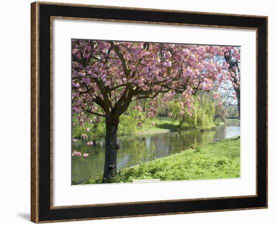 Blossom, Regents Park, London, England, United Kingdom-Ethel Davies-Framed Photographic Print