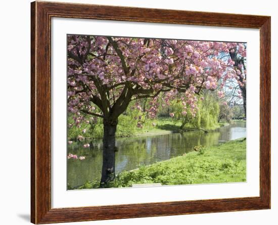 Blossom, Regents Park, London, England, United Kingdom-Ethel Davies-Framed Photographic Print