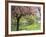 Blossom, Regents Park, London, England, United Kingdom-Ethel Davies-Framed Photographic Print